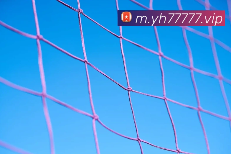 登录器